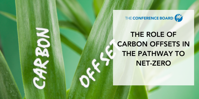 The Role of Carbon Offsets in the Pathway to Net-Zero